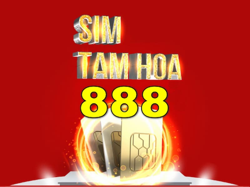  Sim tam hoa 888 đem đến sự nghiệp phát triển mạnh