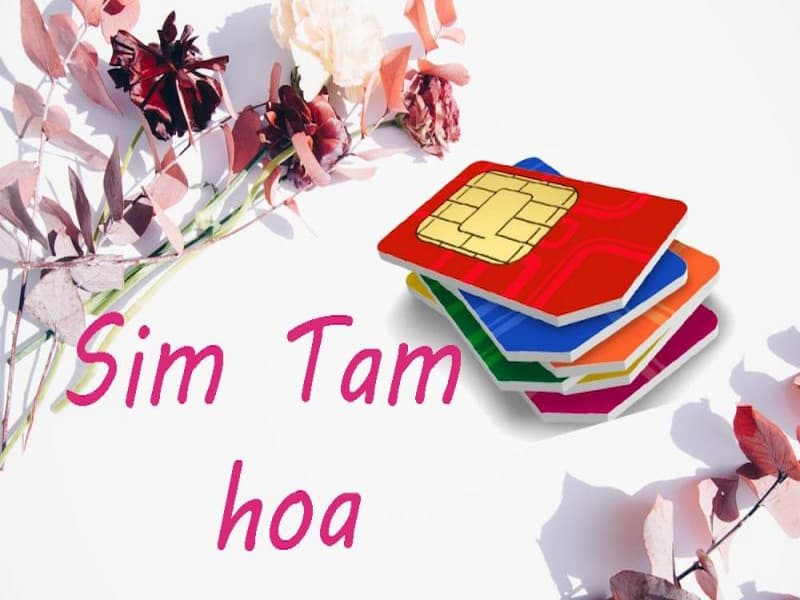 Chọn sim tam hoa theo đầu số cổ và mới