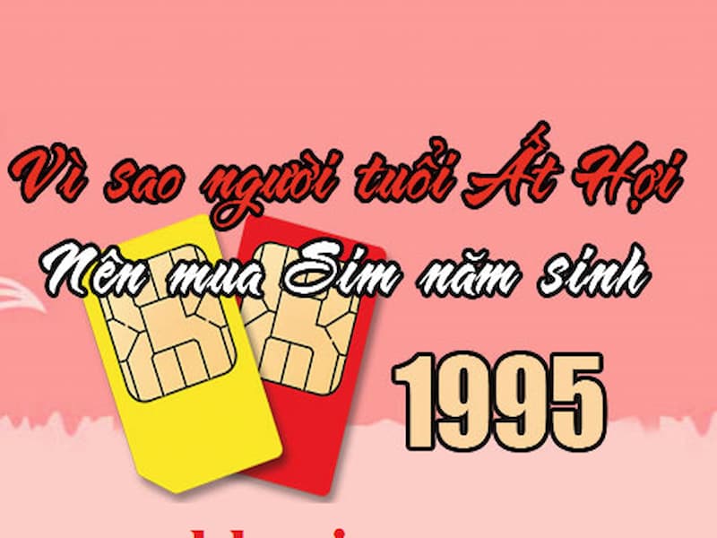 Vì sao tuổi Ất Hợi lạ nên chọn sim 1995 để sử dụng