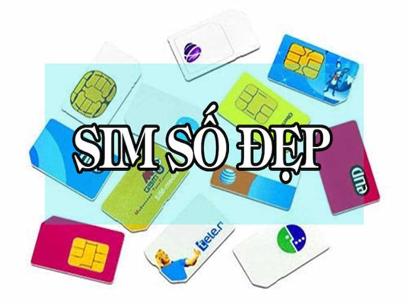 Có rất nhiều lý do mà bạn nên chọn sim số đẹp 666