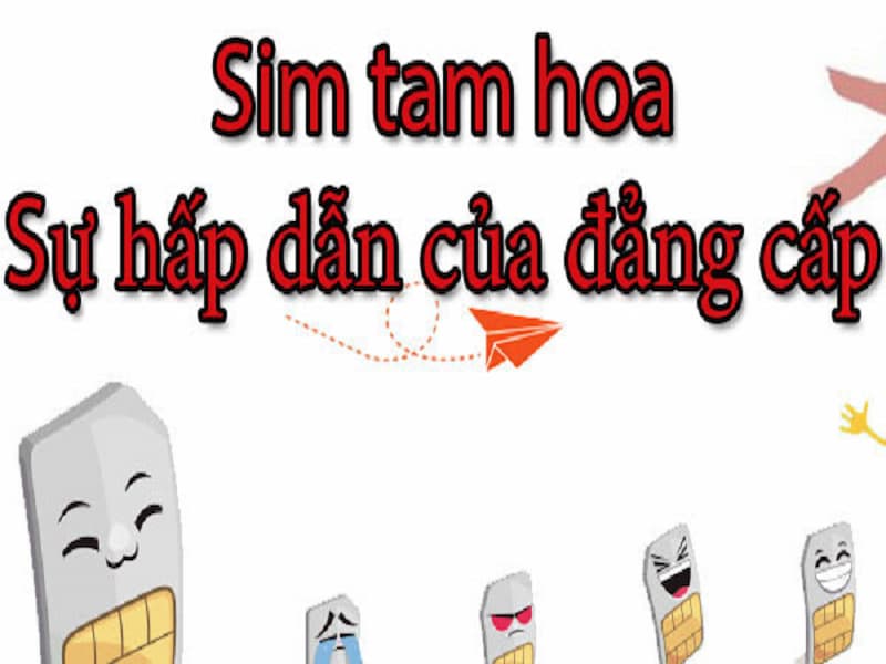 Ý nghĩa của sinh tam hoa