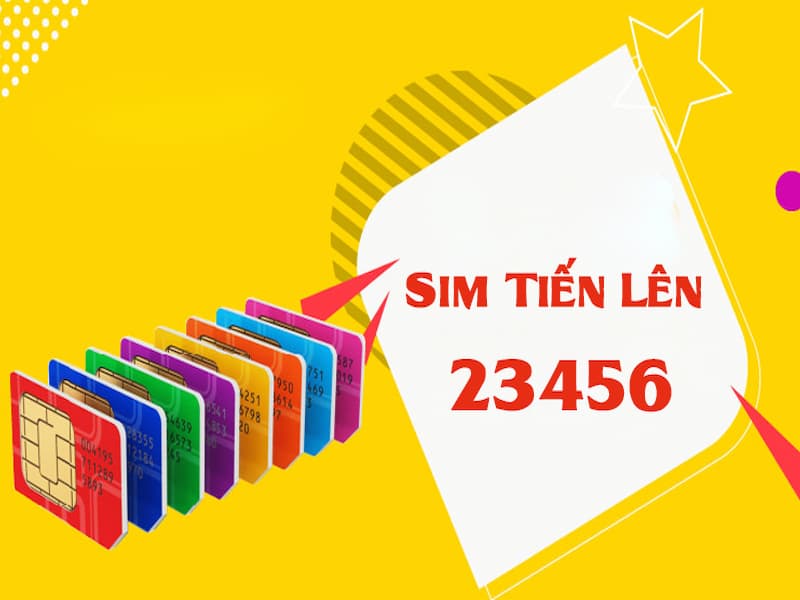 những bất ngờ đến từ khái niệm về sim số tiến Viette