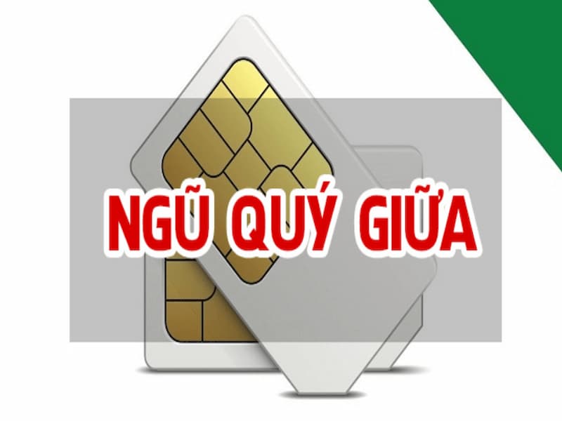 Sim ngũ quý giữa luôn thu hút nhiều ánh nhìn từ mọi người xung quanh