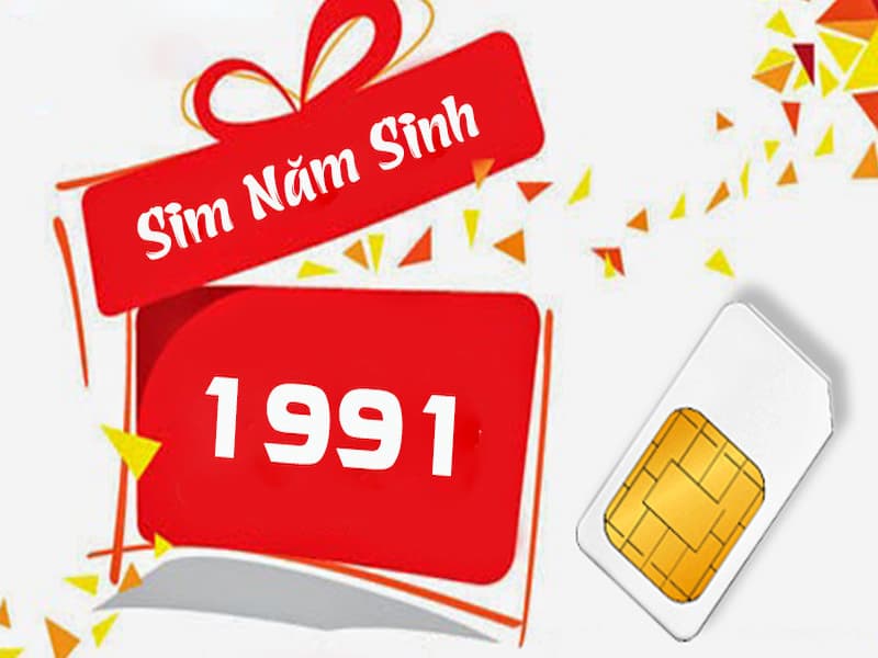 Sim 1991 mang đến nhiều ý nghĩa may mắn