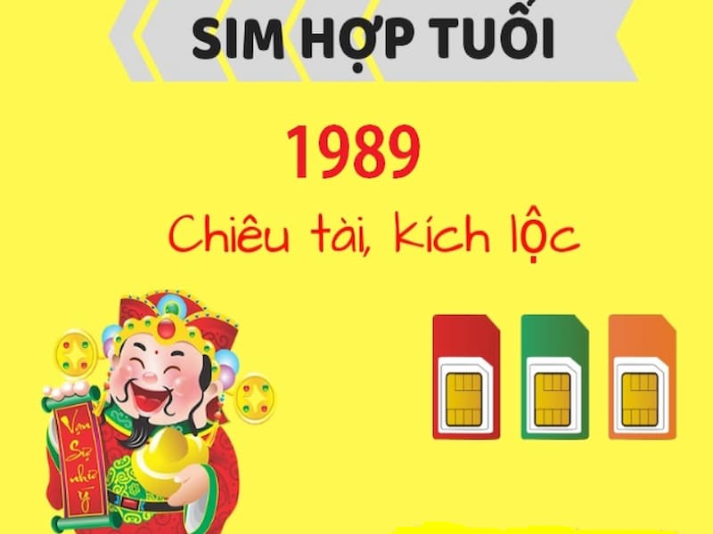 Chọn sim năm sinh 1989 theo trường phái mệnh niên