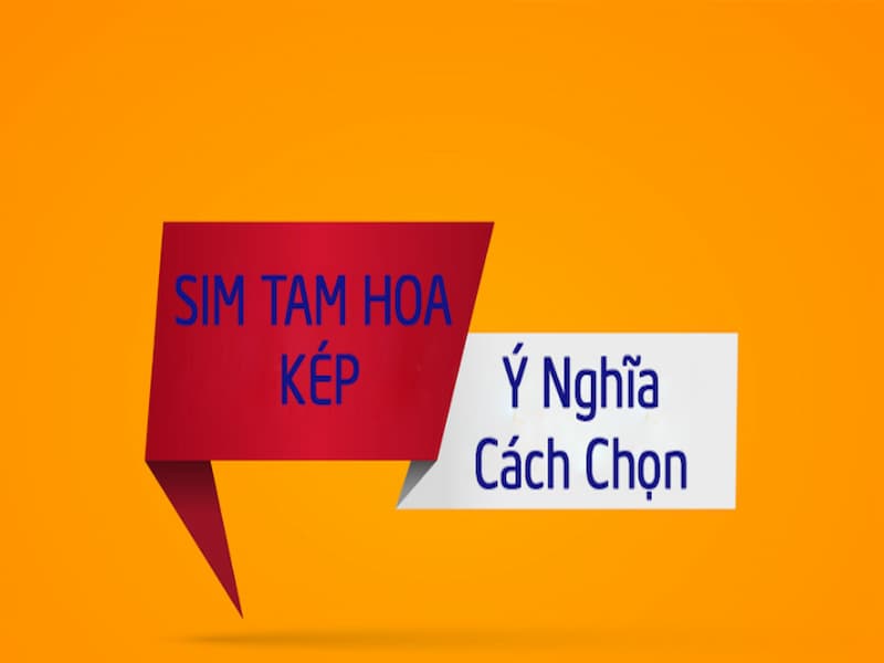  Ý nghĩa của sim tam kép