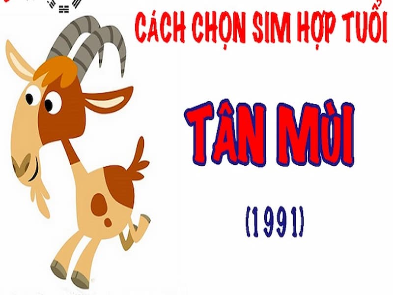 Tùy thuộc vào cung mệnh của bạn để chọn sim số phù hợp nhất