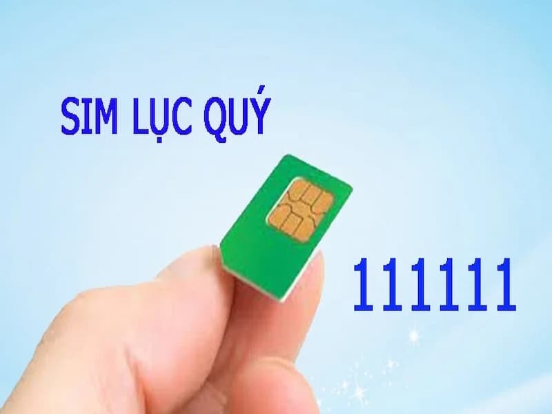 Sim lục quý 1 thể hiện sự cố gắng