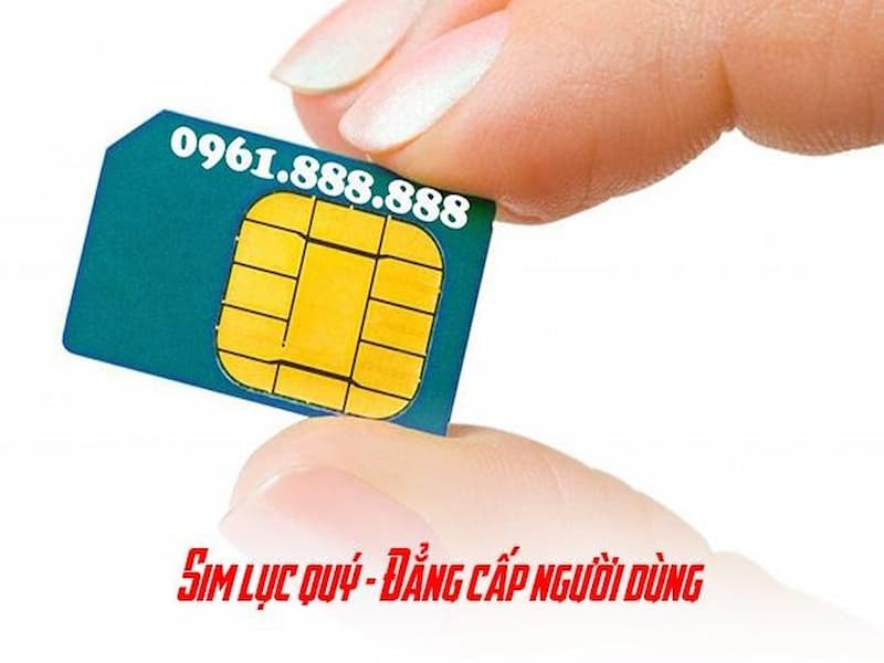 SIm lục quý 5