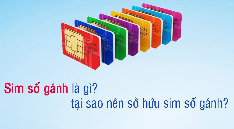 Sim Gánh là gì? Hướng dẫn cách chọn sim gánh chuẩn nhất 