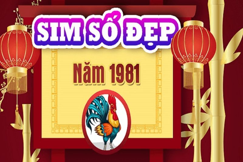 Sim Năm Sinh 1981 là gì? Cách chọn sim số đẹp cho năm sinh 1981