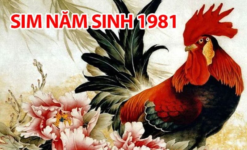 Sim năm sinh 1981 là dòng sim số đẹp, dễ nhớ, dễ đọc