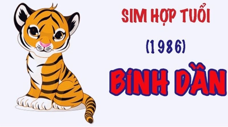 Sim năm sinh 1986 được rất nhiều quý khách hàng ưa chuộng