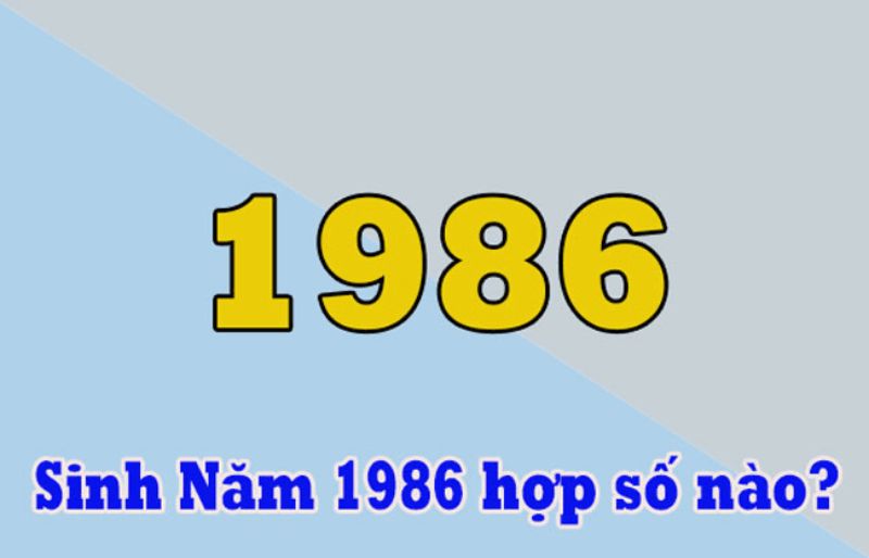 Nên chọn sim năm sinh 1986 như thế nào?