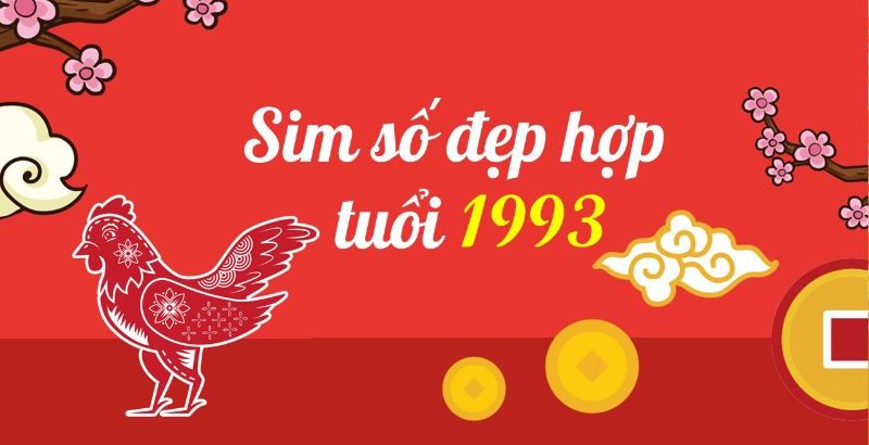 Sim Năm Sinh 1993 là gì? Cách chọn sim năm sinh chuẩn nhất 