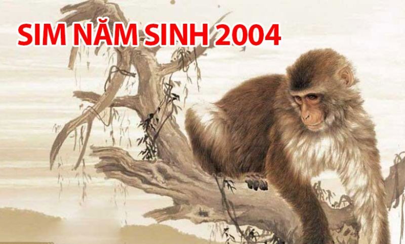 Ý nghĩa phong thủy của sim năm sinh 2004 