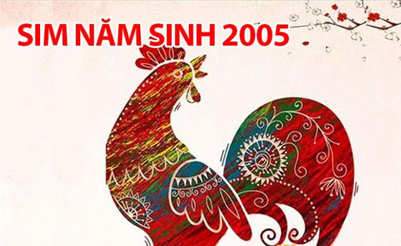 Sim năm sinh 2005 là gì? Địa chỉ mua sim số đẹp uy tín 