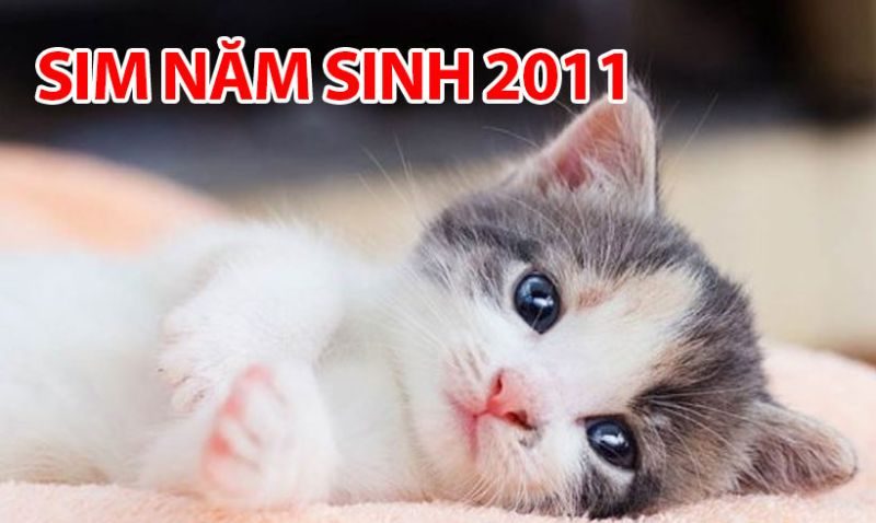 Sim Năm Sinh 2011 là gì? Hướng dẫn chọn sim số đẹp năm sinh