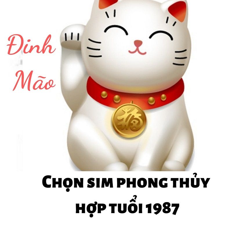 Sim năm sinh 1987 là một dạng sim số đẹp có đuôi 1987